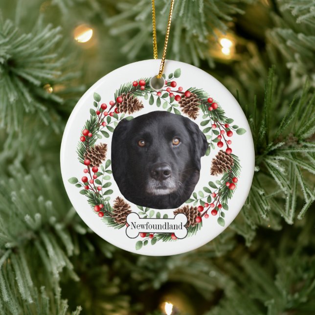 Newfoundland hund Personlig Pet Ornament (Träd)