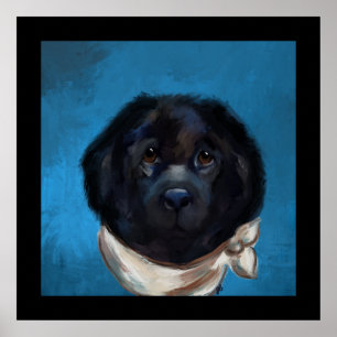Newfoundland Hund Poster