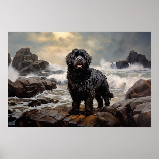 Newfoundland hund poster (Framsidan)