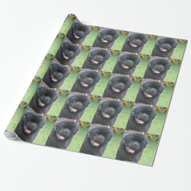 Newfoundland hund presentpapper (Utrullad)