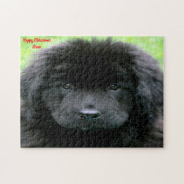 Newfoundland Hund. Pussel