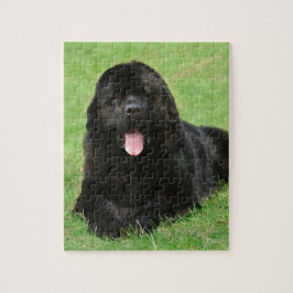 Newfoundland hund pussel