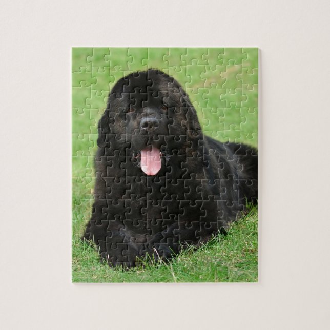 Newfoundland hund pussel (Vertikal)