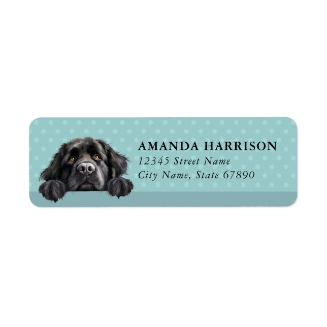 Newfoundland Hund Returadressetiketter Returadress Etikett (Framsidan)