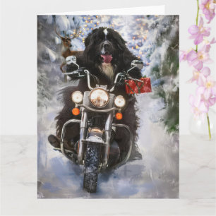 Newfoundland Hund Riding Motorcle jul Kort