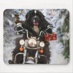 Newfoundland Hund Riding Motorcle jul Musmatta