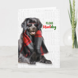 Newfoundland Hund Roliga Lopp Navidog Jul Helgkort