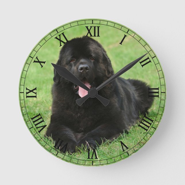 Newfoundland hund rund klocka (Framsida)