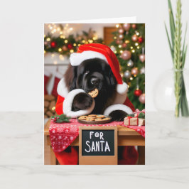 Newfoundland Hund Santa's Cookies-jul Helgkort