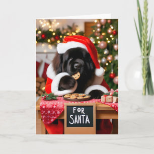 Newfoundland Hund Santa's Cookies-jul Helgkort