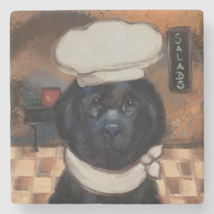 Newfoundland Hund Stenunderlägg