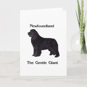 Newfoundland hund stillajätten kort