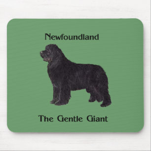 Newfoundland hund stillajätten musmatta