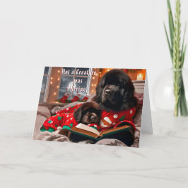 Newfoundland Hund Storytime-julkort Helgkort