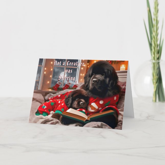 Newfoundland Hund Storytime-julkort Helgkort (Framsida)
