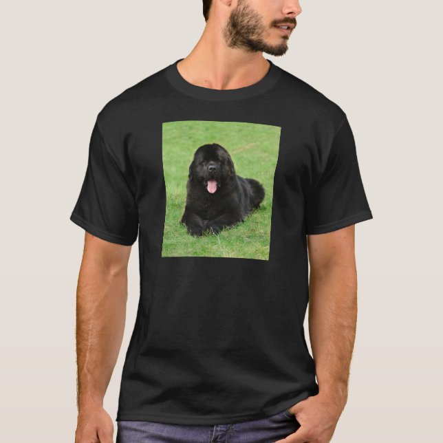 Newfoundland hund t shirt (Framsida)
