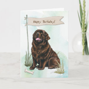 Newfoundland Hund utomhus under födelsedagstecken Kort