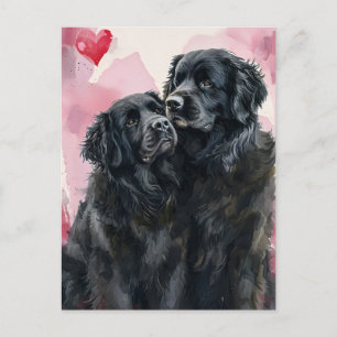 Newfoundland hund Valentines dag Vykort