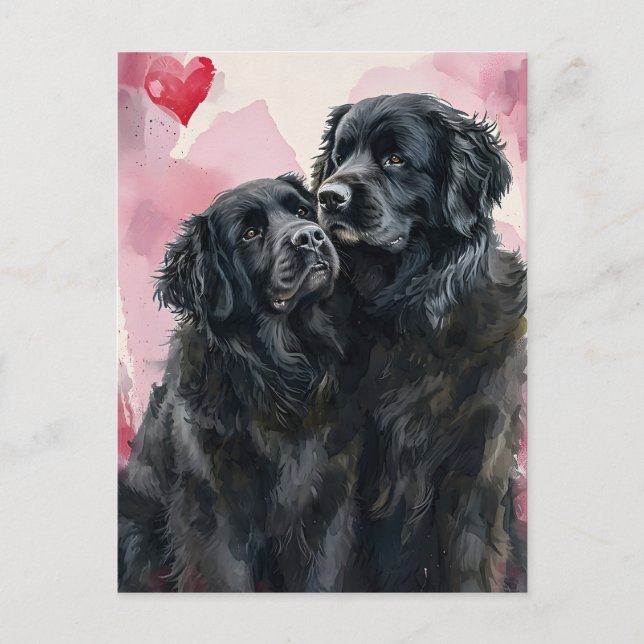 Newfoundland hund Valentines dag Vykort (Framsida)