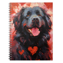 Newfoundland hund Valentines day