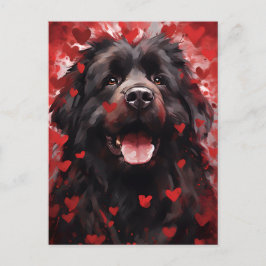 Newfoundland hund Valentines day Vykort