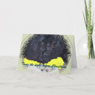 Newfoundland hund var natten före jul helgkort