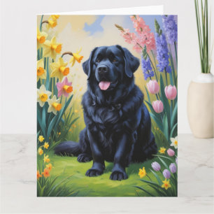 Newfoundland Hund Vårblommor Målning Kort