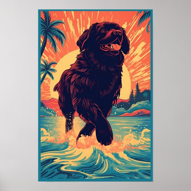 Newfoundland hund vid stranden poster (Framsidan)