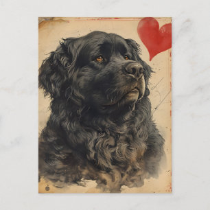 Newfoundland hund Vintage Valentines dag Vykort