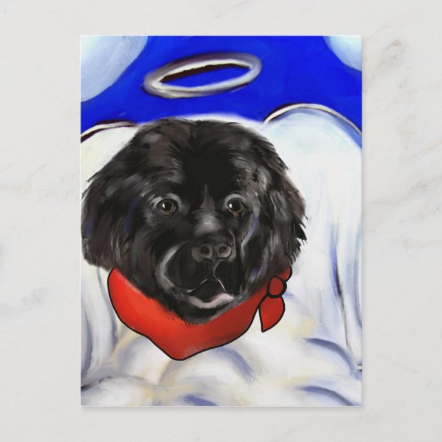 Newfoundland Hund Vykort (Framsida)