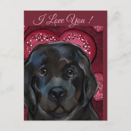 Newfoundland Hund Vykort