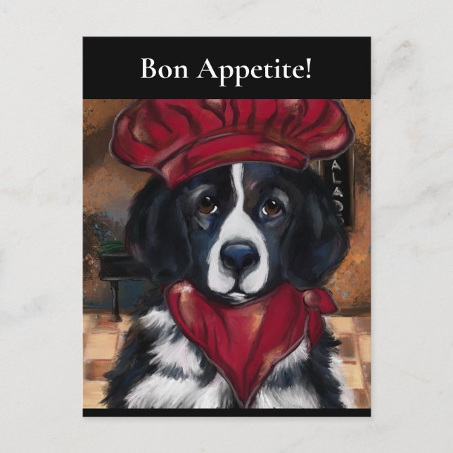 Newfoundland Hund Vykort (Framsida)