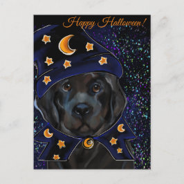 Newfoundland Hund Vykort