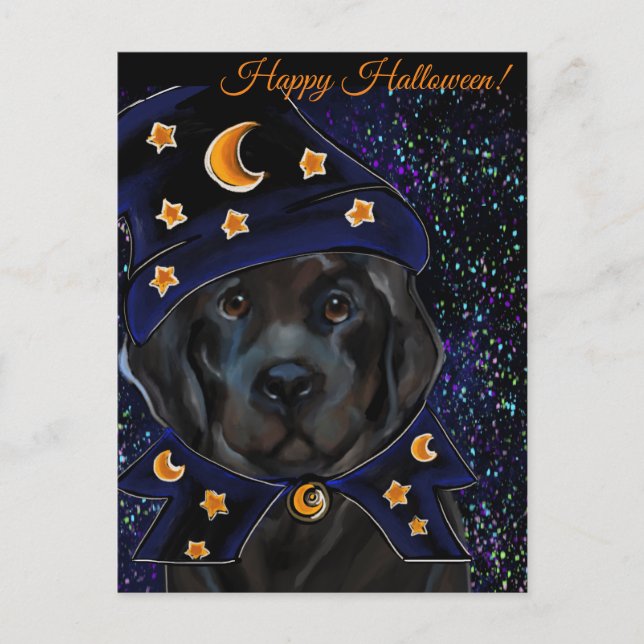 Newfoundland Hund Vykort (Framsida)