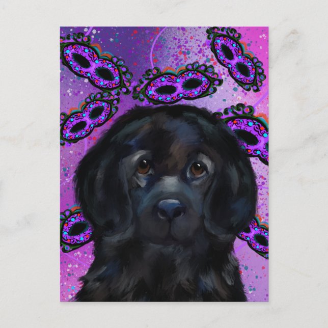 Newfoundland Hund Vykort (Framsida)