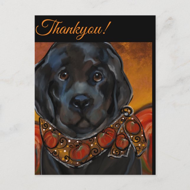 Newfoundland Hund Vykort (Framsida)