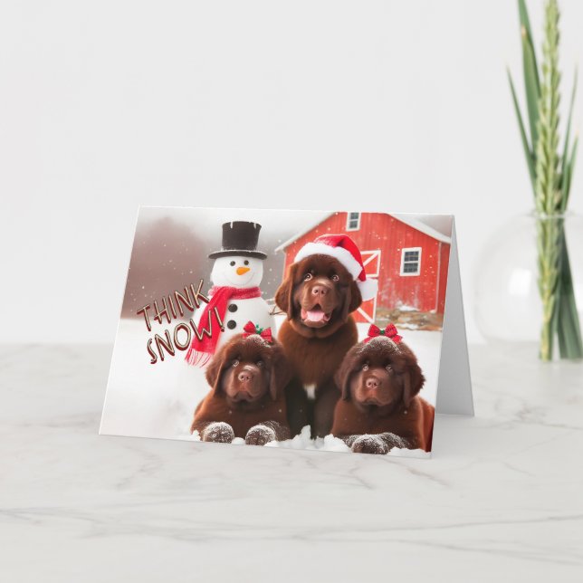 Newfoundland Hundar Brown, Snö-julkort Helgkort (Framsida)