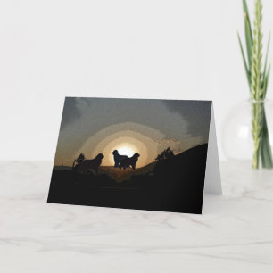 Newfoundland hundar Greeting Card Kort
