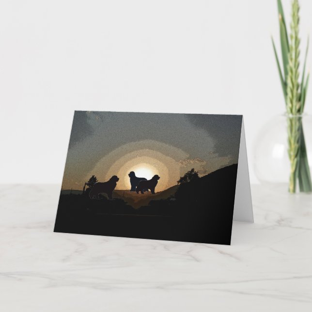 Newfoundland hundar Greeting Card Kort (Framsida)