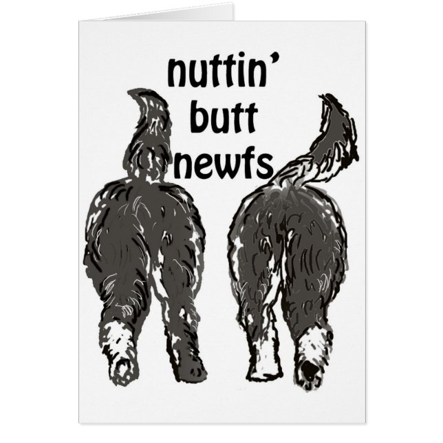 Newfoundland hundar hälsningskort (Framsidan)