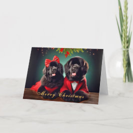Newfoundland Hundar i julklapp Helgkort