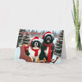 Newfoundland Hundar i Sleigh-julkort Helgkort