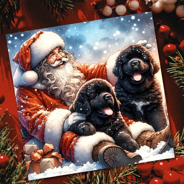 Newfoundland Hundar med Jultomten Festive Julkort (Skapare uppladdad)
