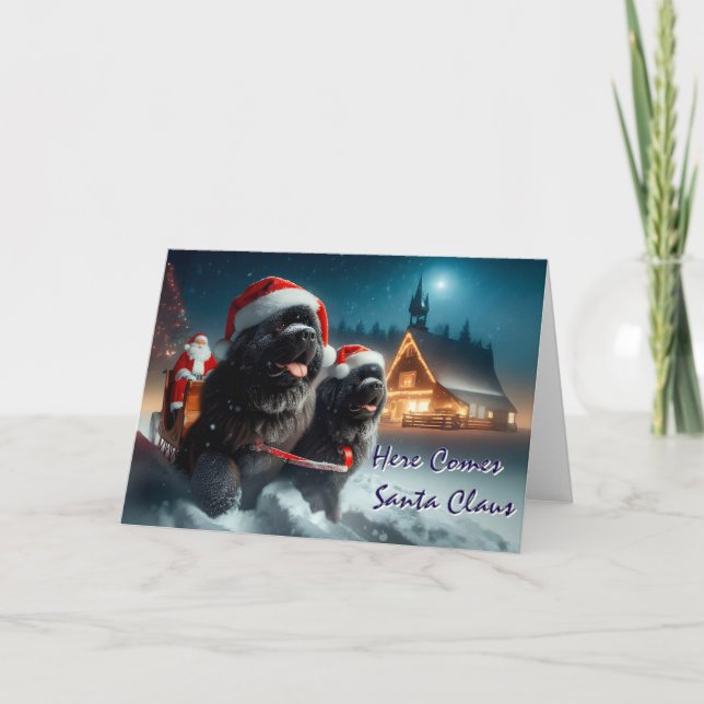 Newfoundland Hundar Pulling Santa's Sleigh Card Helgkort (Framsida)