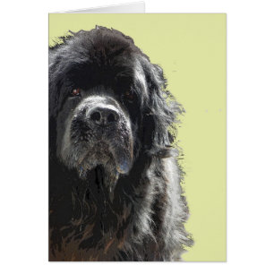 Newfoundland hundkort hälsningskort