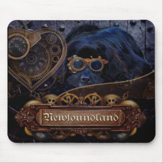 Newfoundland hundSteampunk stil! Musmatta