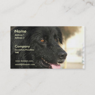 Newfoundland hundvisitkort visitkort