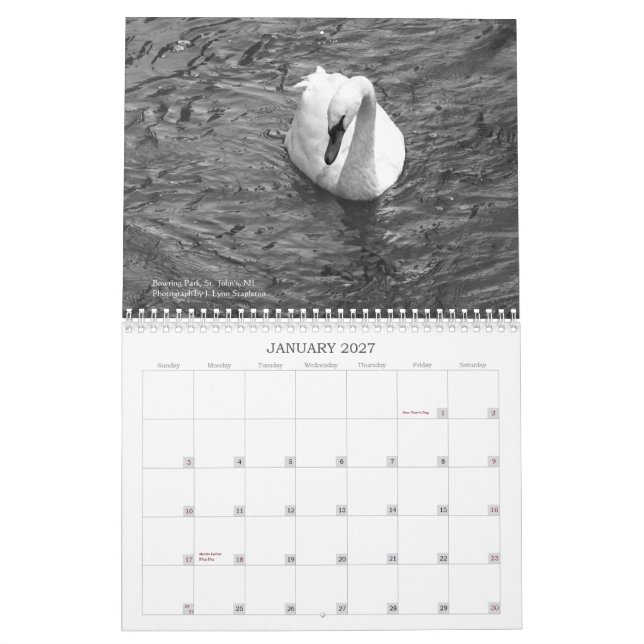 Newfoundland i Bilder: A 2013-kalender Kalender (Jan 2027)