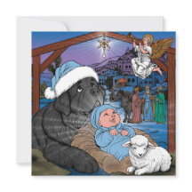 Newfoundland Jesusbarnet