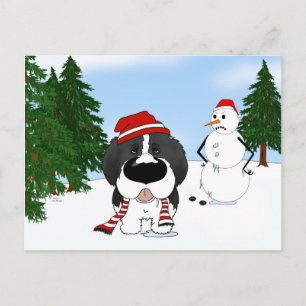 Newfoundland jul helg vykort
